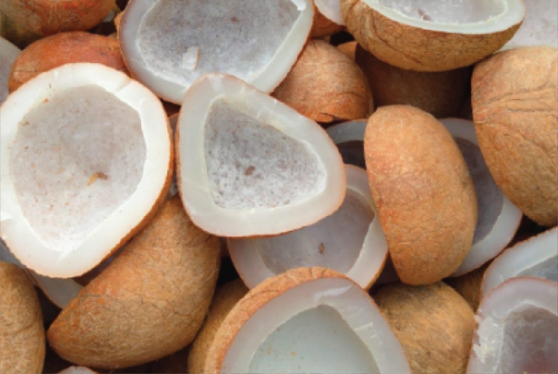 Copra Putih - Astacoco Asta Jaya